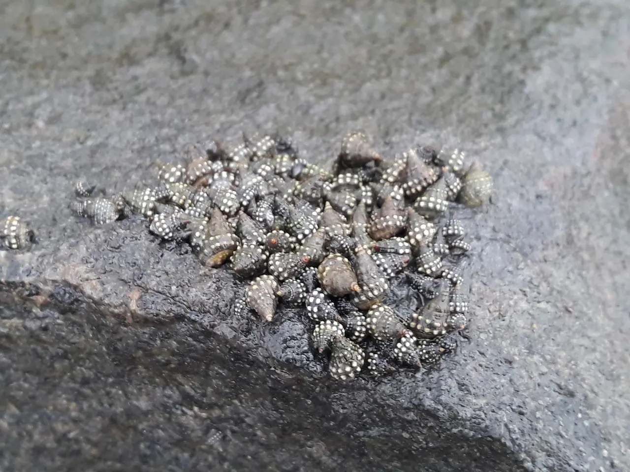 Piedras calientes o frías: energía de la tierra